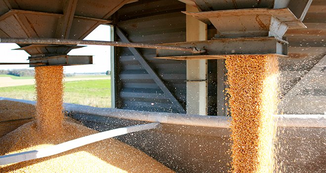 Pour répondre à la demande croissante, la coopérative de Creully investit dans un silo de 3000 tonnes, dédié aux céréales bio. ©X.Beguet-Zefoto.net/Fotolia 