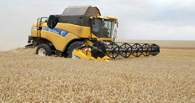 La récolte de céréales a été meilleure que prévue. N. Chemineau/Pixel Image