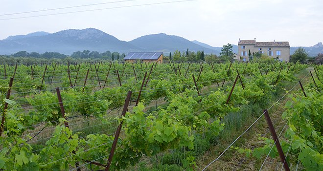 Antédis reprend Novex, spécialisée dans les essais protection et nutrition des plantes de la vigne. Photo : C. Even/Pixel Image