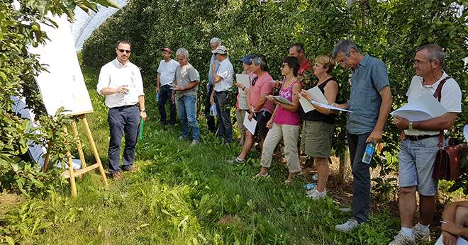 Une centaine de techniciens de la distribution et de la prescription ont découvert les résultats d’expérimentation d’Adama en vigne et arboriculture. Photo : DR
