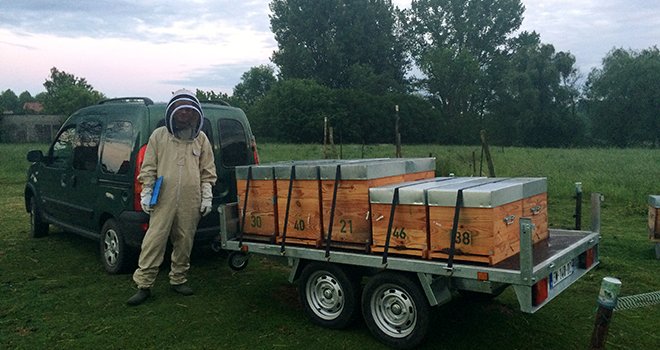 Cette transhumance a été organisée par Coop de France Déshydratation répondant à l’appel au secours de l’Association des apiculteurs professionnels en pays du Nord-Picardie. Photo : DR