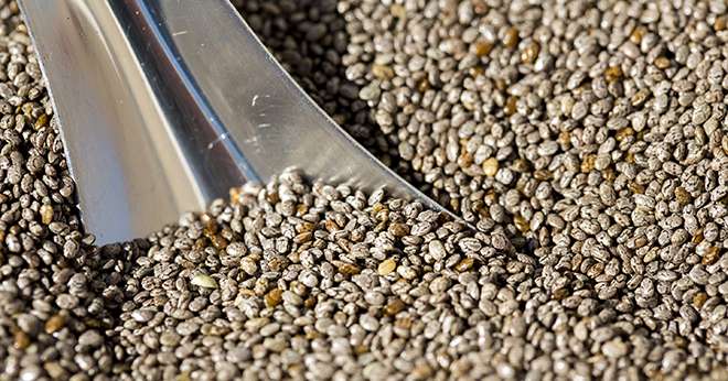 Plusieurs industriels sont intéressés pour introduire des graines de chia dans leurs produits. © Chia de France