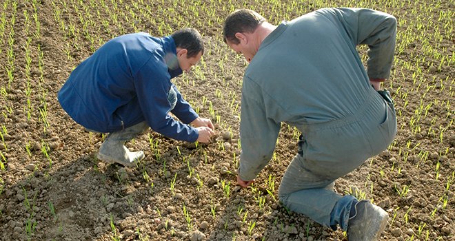 Dans le cadre d’une baisse potentielle des doses de produits phytosanitaires, les agriculteurs comptent avant tout sur les outils de pilotage, un peu moins sur les solutions  de régénération des sols et encore moins sur les solutions de biocontrôle. © O. Lévèque/Pixel image