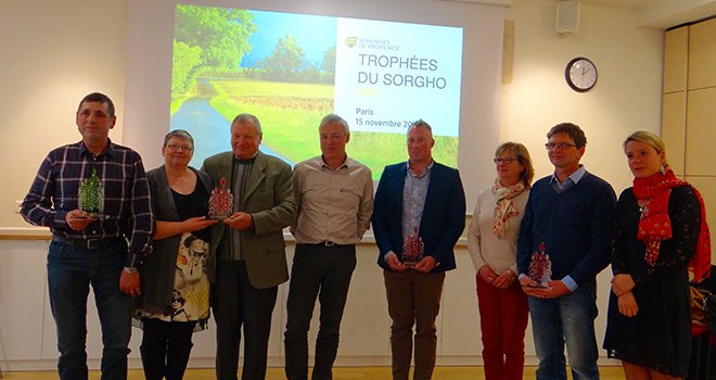 4 agriculteurs lauréats des Trophées du sorgho, qui récompensent l'engagement des producteurs dans cette culture. Photo : Semences de Provence. 