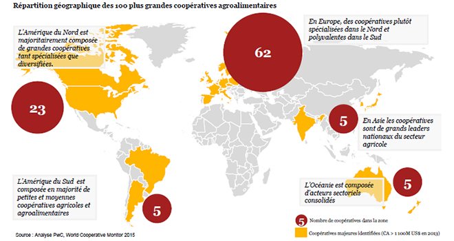 62 des 100 premières coopératives agroalimentaires mondiales sont basées en Europe. Viennent ensuite les grandes coopératives d’Amérique du Nord (23), celles d’Asie (5), d’Océanie (5), et enfin les petites et moyennes coopératives d’Amérique du Sud (5). 