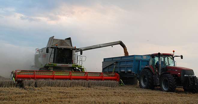 Un recul important des rendements en blé, mais un taux de protéines très importants marquent cette moisson 2016. Photo : DR