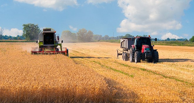 Les opérateurs des régions Pays de la Loire et Poitou-Charentes parlent d'une moisson 2016 à oublier. À l'exception du colza, les rendements sur céréales à paille sont en forte baisse et hétérogènes. Photo : Prudkov-Fotolia