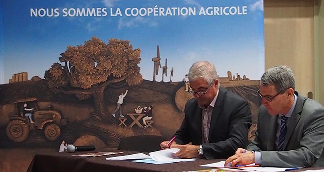 Joël Reynaud, président de Coop de France Alpes Méditerranée, et François Goussé, directeur de la Draaf Paca, signent la convention de partenariat. Photo : Coop de France Alpes Méditerranée