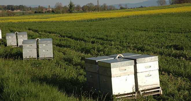 la réunion a rassemblé des apiculteurs professionnels et des agriculteurs bio, mais aussi des agriculteurs en système conventionnel. Photo : C. Milou/Pixel image