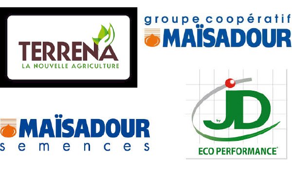 Le rapprochement entre les deux groupes coopératifs devrait  allier les gammes de produits de Jouffray-Drillaud, filiale de Terrena, et le réseau commercial international de Maïsadour Semences, filiale du groupe coopératif Maïsadour.