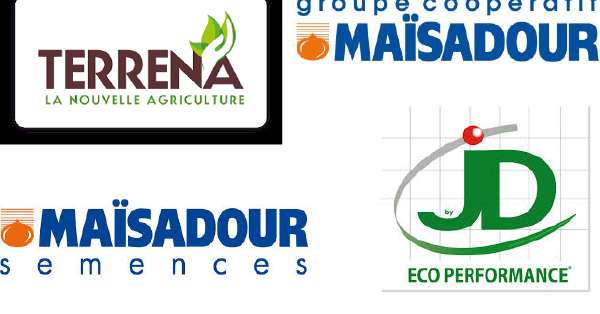 Le rapprochement entre les deux groupes coopératifs devrait  allier les gammes de produits de Jouffray-Drillaud, filiale de Terrena, et le réseau commercial international de Maïsadour Semences, filiale du groupe coopératif Maïsadour.