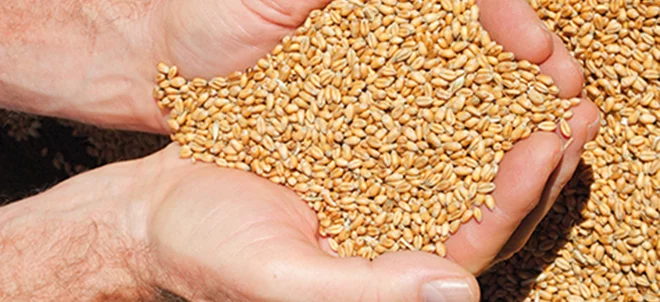 Marchés : le blé atteint son plus bas niveau depui