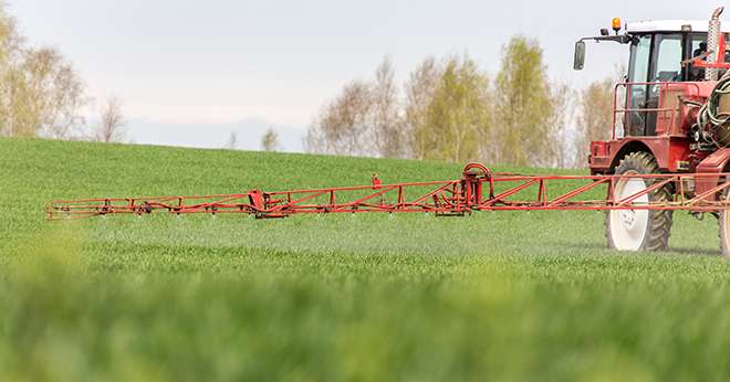« L’un des enjeux est une implantation racinaire suffisante pour que le système racinaire en place limite le ruissellement », indique Alain Tridon, sous-directeur de la qualité et de la protection des végétaux à la DGAL. ©Stockr/Fotolia