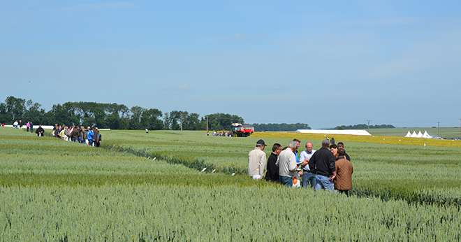 Près de 400 agriculteurs étaient présents aux expertises de Ternovéo. Photo: S.Bot/Pixel image
