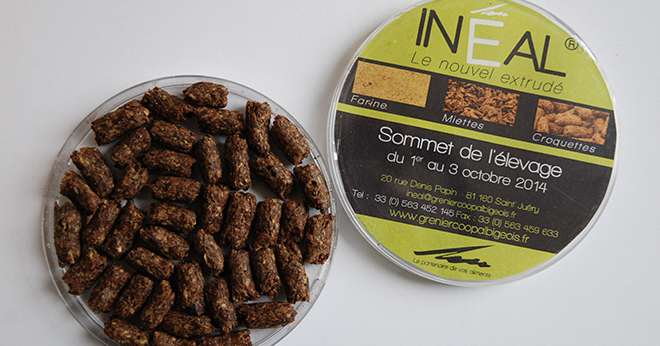 Le Grenier coopératif albigeois propose des aliments extrudés sous forme de croquettes avec un taux d'incorporation de lin entre 30 et 70%. Photo Nathalie Tiers/Pixel Image