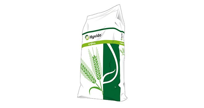 Hyvido Bagoo et Hyvido Dribble sont les dernières variétés en orge d’hiver hybride de Syngenta. CP / Syngenta