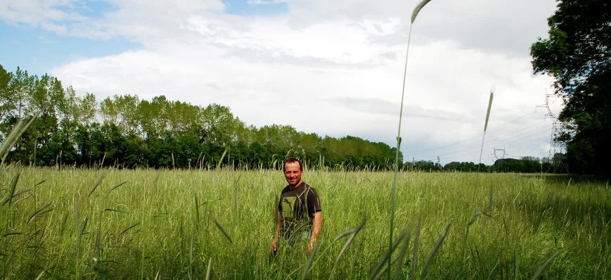 Prairies : Un semis direct pour doper les rendemen