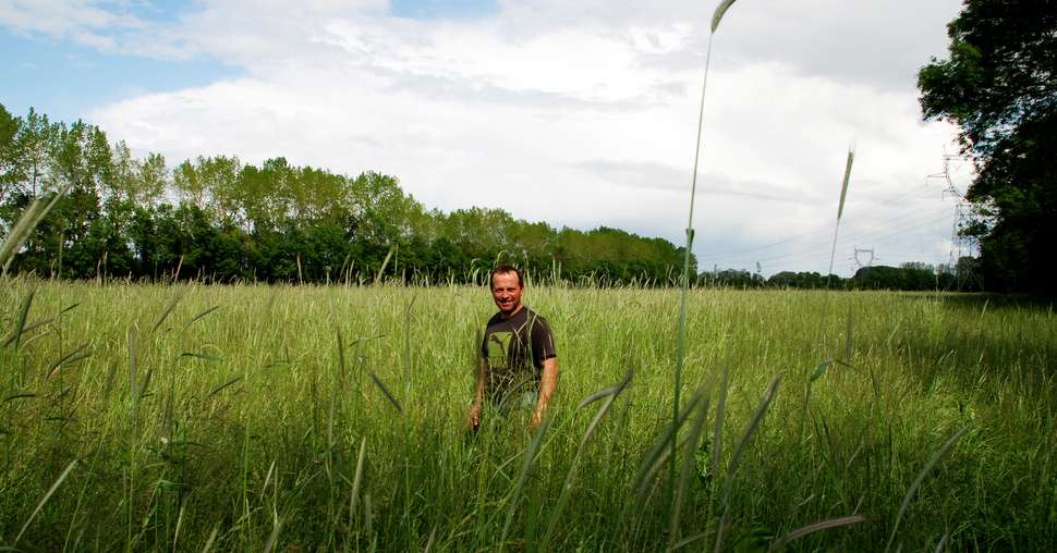 Pour Thierry Mouchard,  le choix  des espèces  et du matériel est essentiel  à la réussite  du semis direct en prairie vivante. © Léa Fréhel
