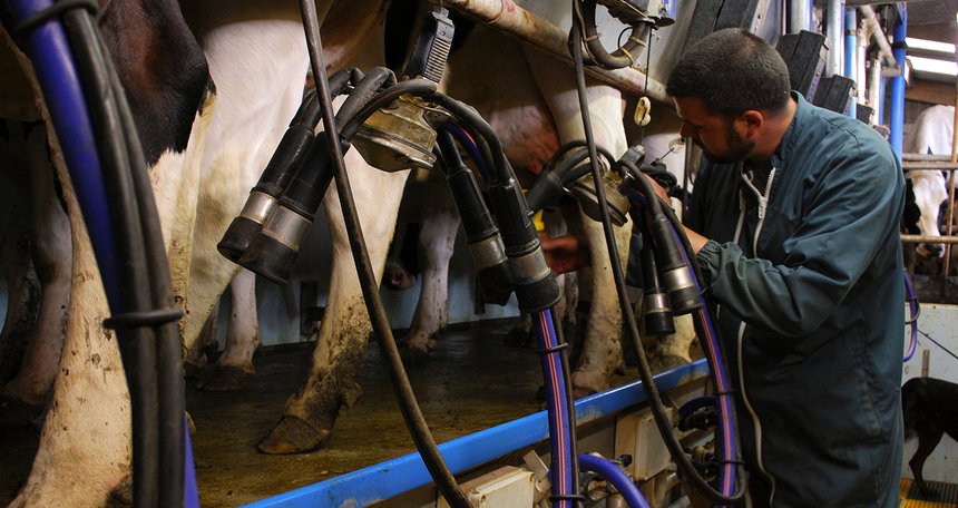 Le prix du lait baisse en Europe depuis la fin de l’année 2022, et ce mouvement gagne la France. Photo : Ariane Citron