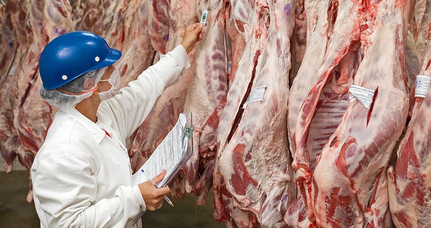 Les importations de viande bovine ont progressé en 2022. Photo : Clio/Adobe Stock