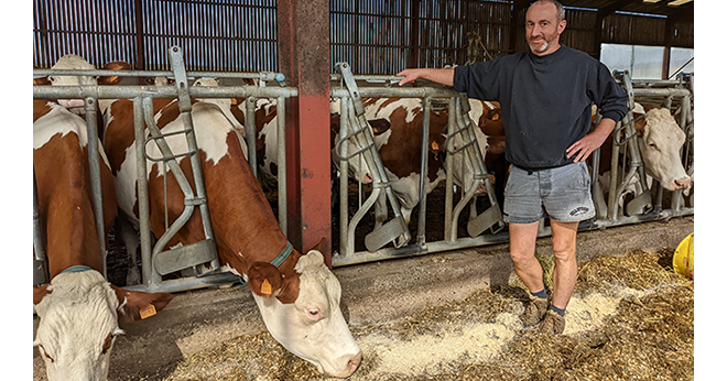 Sylvain Klein, éleveur de vaches laitières en Moselle, a choisi la race montbéliarde, et le croisement d'absorption. 