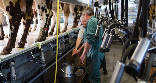 La production laitière brute augmente de 180 kg en 2021. © L.Page/Cniel