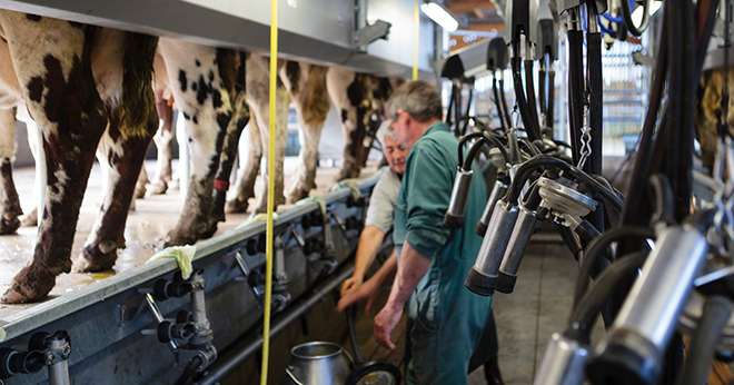 L’APBO et le Groupe Bel revalorisent le prix du lait « MonBBLait » Photo : L.Page/Cniel