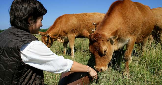 Le titre emploi simplifié agricole est prolongé jusque fin 2023. ©AuremarAdobeStock