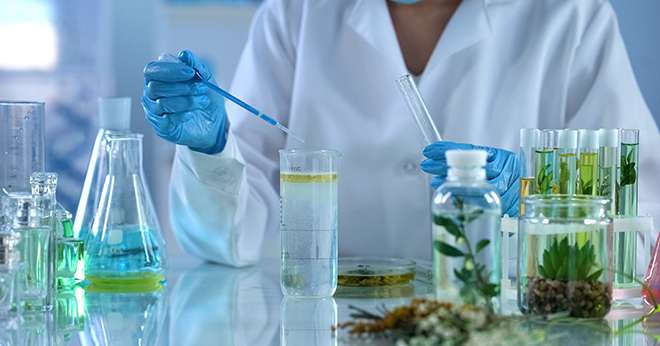 Phytothérapie et aromathérapie : une nouvelle méthode d’évaluation. © Motortion/AdobeStock