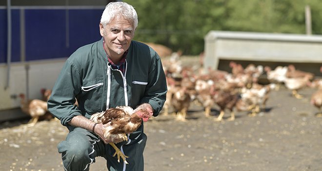 Des « référents bien-être animal » dans les élevages français. © AdobeStock/Goodluz