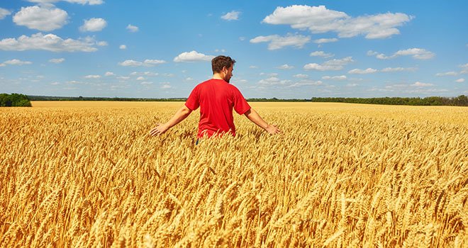La France a perdu 100 000 exploitations agricoles en dix ans. © AdobeStock/ Ryzhkov Oleksandr