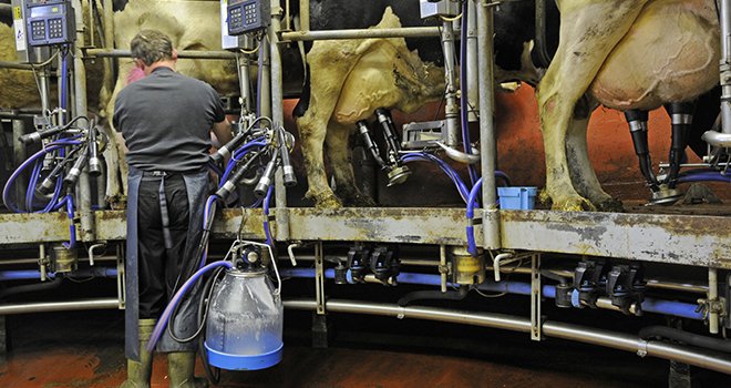 La production laitière moyenne par vache augmente de 260 kg. Photo Fotolyse/Adobe stock