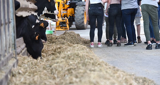 Avril et UniLaSalle lancent une chaire sur l’élevage et les enjeux sociétaux. ©AdobeStock/JeanLuc