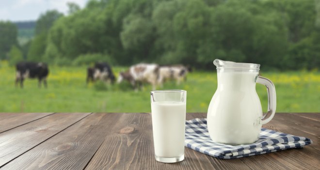 La collecte française de lait reprend des couleurs. CP : AdobeStock/svetlana_cherruty