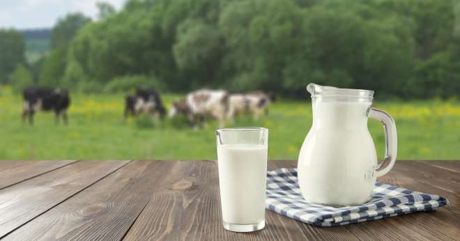 La collecte française de lait reprend des couleurs. CP : AdobeStock/svetlana_cherruty