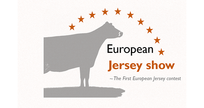 Premier concours européen en ligne pour la race jersiaise. ©Jersiaise France