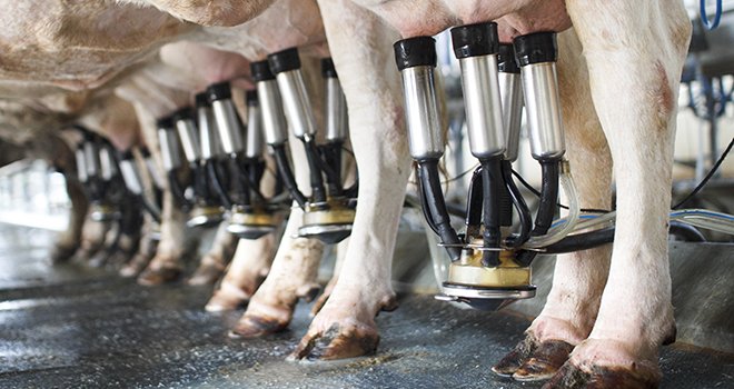 La collecte laitière en baisse de 3 % sur 2021. ©toa555/AdobeStock