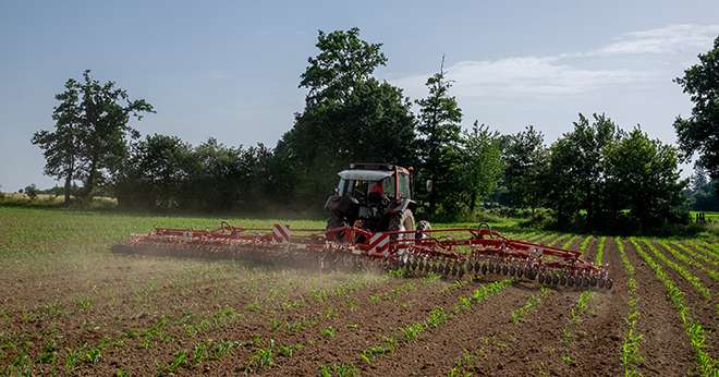 Agrobio35 propose une formation rapide (4 heures en ligne et 6 heures en présentiel) pour acquérir les connaissances, maîtriser les techniques et se familiariser avec la pratique du désherbage mécanique du maïs. ©Matthieu Chanel