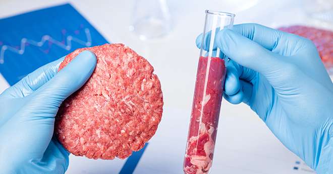 Une transition vers de la viande 100 % synthétique : quelles conséquences ? ©nevodka.com/AdobeStock