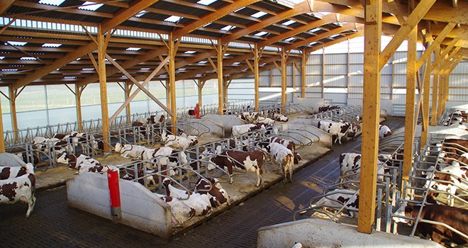 Adapter les bâtiments d’élevage au changement climatique. ©MD.Guihard/Pixel6TM