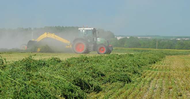 Le programme d’aide aux investissements en agroéquipements des exploitations agricoles porte sur des matériels pour la culture, la récolte et le séchage des espèces riches en protéines ainsi qu’au développement des sursemis de légumineuses fourragères. ©M Lecourtier/Media et agriculture