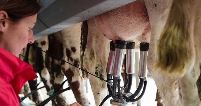 La coopération laitière est pleinement mobilisée pour garantir la juste rémunération des producteurs-associés. © L.Page/Cniel
