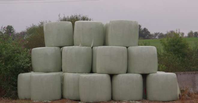 Certaines régions comme le Nord-Est, la Bourgogne, le Sud-Est et le nord du Centre-Val de Loire ont beaucoup souffert de la sécheresse. (Ici stockage de fourrages dans une exploitation de Maine-et-Loire). CP : DR