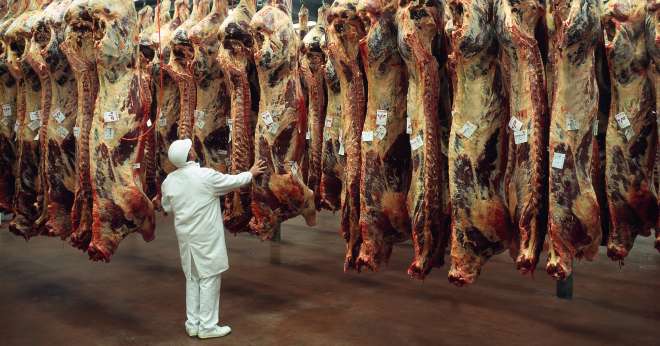 Le 6 août 2020, est paru un arrêté homologuant le nouveau cahier des charges pour le label Rouge gros bovins. Le terme « étourdissement » a finalement bien été conservé. CP : Bertrand photos/Adobe Stock