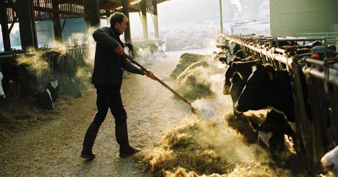 « Les agriculteurs doivent réexpliquer les bases de l’agriculture : la saisonnalité, les cycles d’élevage… Parler de ses choix, sans opposer les systèmes, et peut-être le plus important : raconter leur histoire », confie Danielle Even, présidente d’Agriculteurs de Bretagne. CP : L.Gueneau/Cniel.