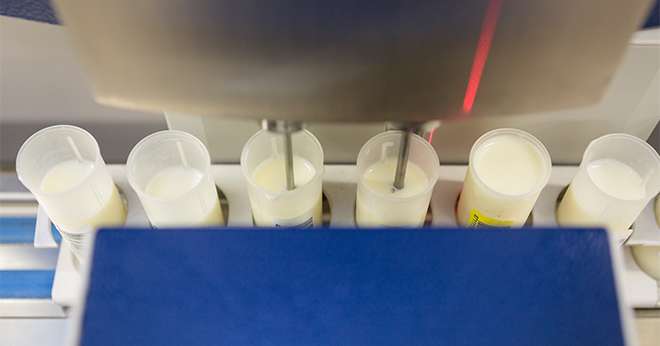 Une qualité du lait qui progresse mais qui peut être améliorée. ©L.Page/Cniel