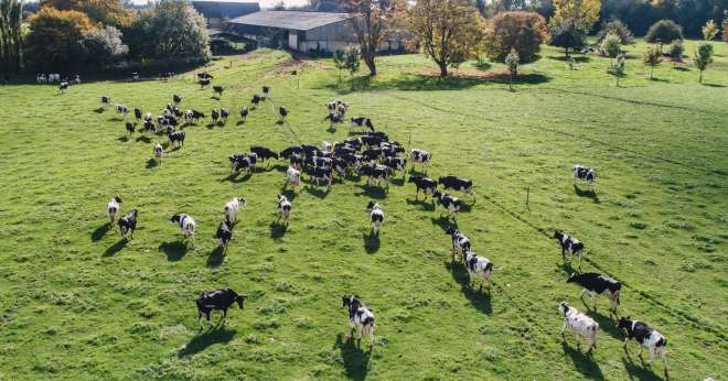 Stop à la présence de l’élevage dans les accords de libre-échange. CP : G.BLANCHON/Cniel