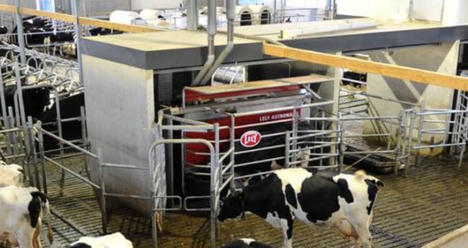 En moyenne, les vaches ont produit 8446 kg de lait par an en 2019. CP : DR