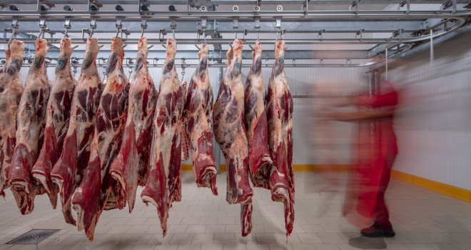 Le marché de la viande des gros bovins peine à s’améliorer. CP : mehmet/Adobe Stock
