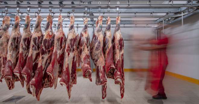 Le marché de la viande des gros bovins peine à s’améliorer. CP : mehmet/Adobe Stock